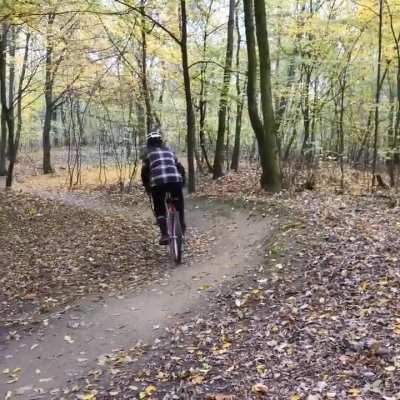 This bike looks like fun