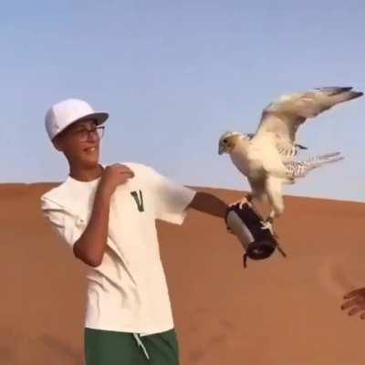 Taking a decent picture  with Eagle