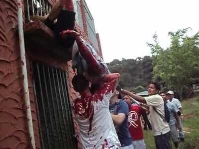 Mormon missionary attacked by a Lion in Guatemala City