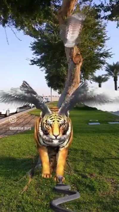 Saar so stronk 😱🤯🇳🇪🇳🇪😎💪🏾💪🏾💪🏾