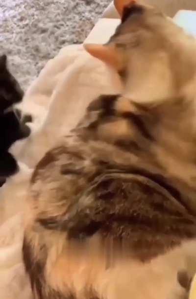 You want some of this...