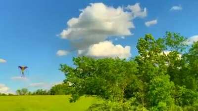 Leaked footage of Zulrah in new HD client, omg