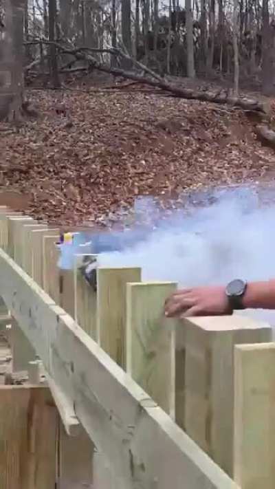 Of a future forest fire