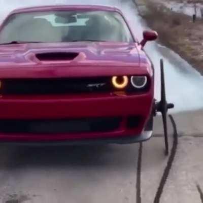 amish mustang 🤢🤮