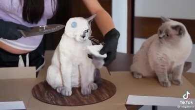 But isn't this a type of mental abuse?