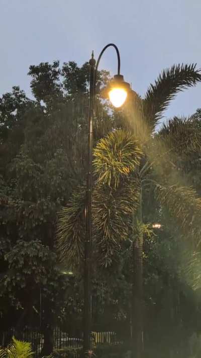 The Freshness of Monsoon