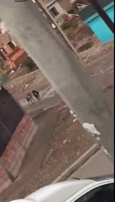 Trelew: atacaron al candidato a gobernador del PJ Juan Pablo Luque durante un acto de campaña