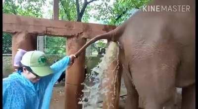 Never Complaining About My Job Again