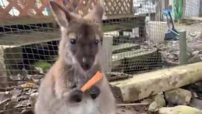 Theft in broad daylight