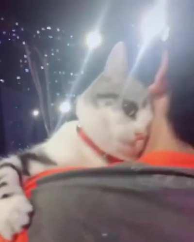 It's a big, scary world out there.