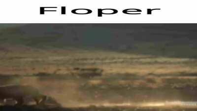 Floper