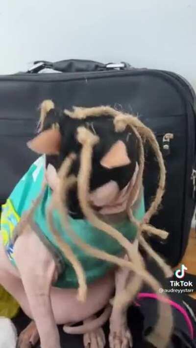 Saw this video and couldn’t stop laughing for a good while, figured I’d share.