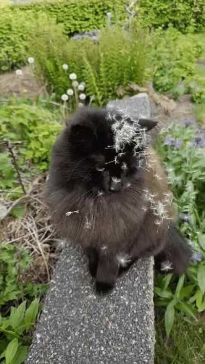 Hope this doesn't break rule 1