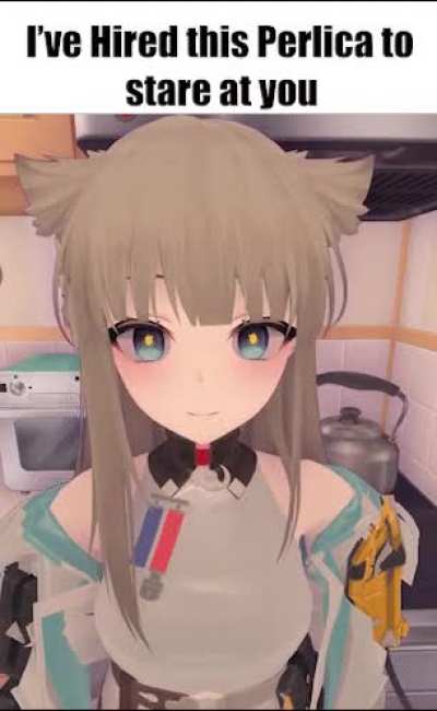 I Hired this Perlica to Stare at You