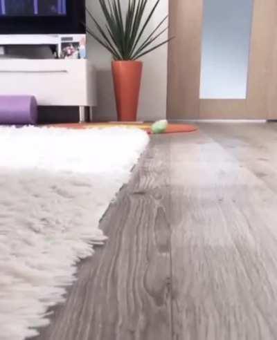 *The game start and I see a generator, me clumsily using my sprint burst :