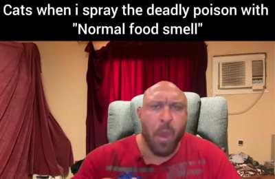 nothing personal cats, it's just trolling😎