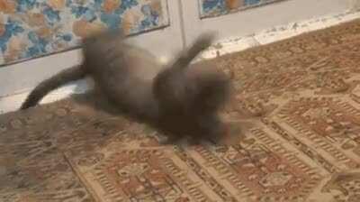 Pretty fast, twinkle toes!