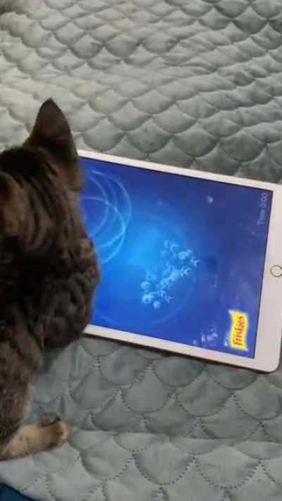 iPad fishing with Piccolo