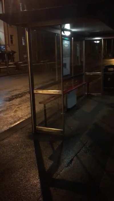 HMB while I try to take a seat at this bus stop