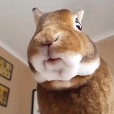 Приятного аппетита