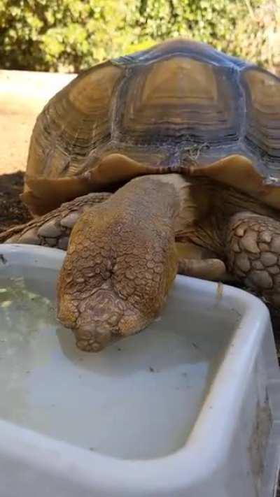 Blowing some bubbles and then taking an accidental breath under water!