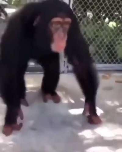 My bro is so excited he's like 