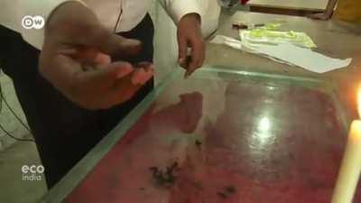 It looks like plastic, feels like plastic, but it isn't. This biodegradable bioplastic (Sonali Bag) is made from a plant named jute. And invented by a Bangladeshi scientist Mubarak Ahmed Khan. This invention can solve the Global Plastic Pollution problem.