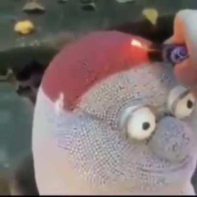 Clamworks levels of suffering