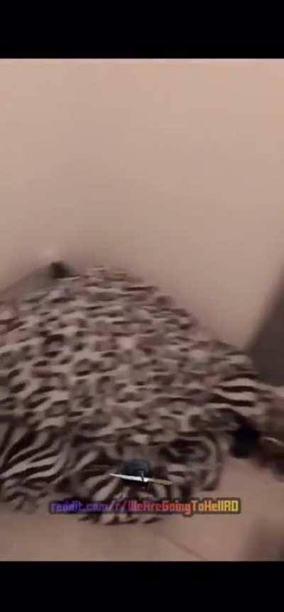 Supararile unui futac