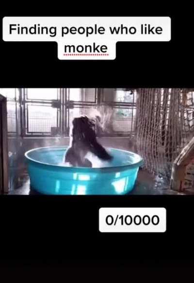 Monke