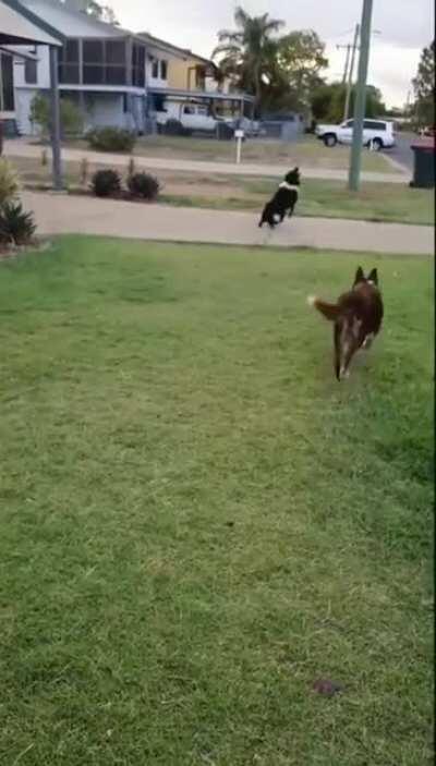 Everyone has different priorities