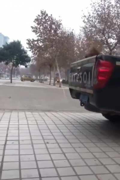 Did you see me, Dad? proud doggo