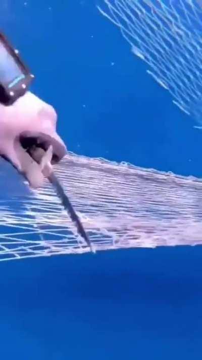 This planet doesn’t need us.