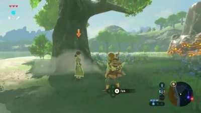 Link has literally had enough of this flower lady