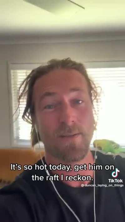 Just a Parakeet on a Raft