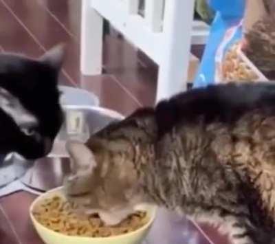 He loads his mouth more than he can handle