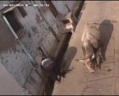 F you in particular.