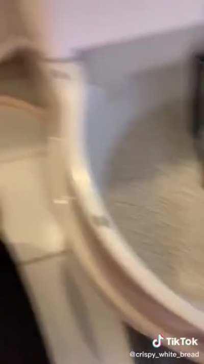 You seeing this sis? Hold my paw