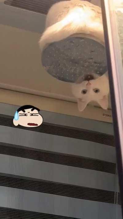 i hope it tasted good