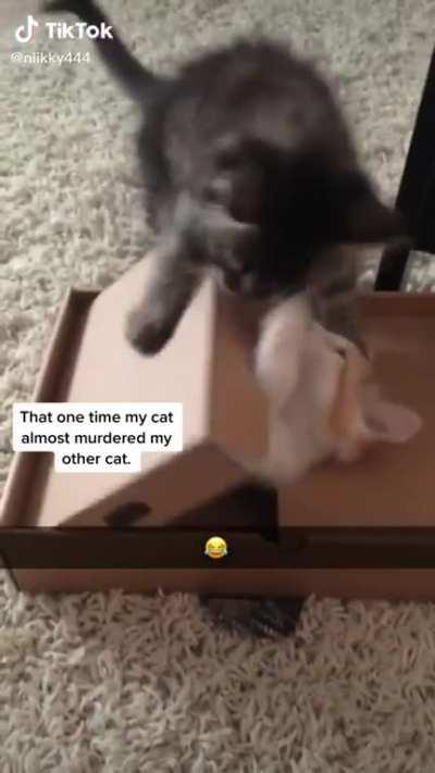 A new tipe of guillotine?