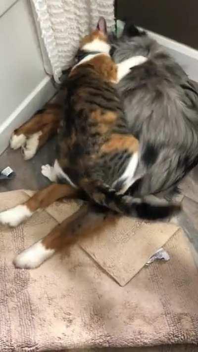 It’s fun to watch these two play together