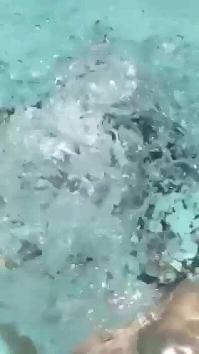 Done swimming with boobs out!