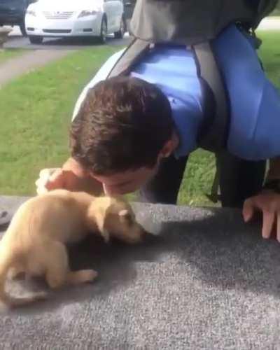 Little pup gets so excited when her hooman dad returns from work.