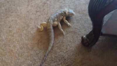 Love is in the air !!!!!!!!!!!!!!!! hahaahahh