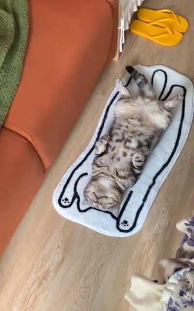 That's how he sleeps in his favorite spot..