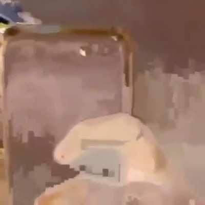 Borá bugar o cérebro galera