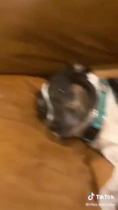 totally busted, but trying your hardest to get out of it