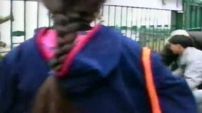 Trying to look cool in a zoo, gets violated by a panda