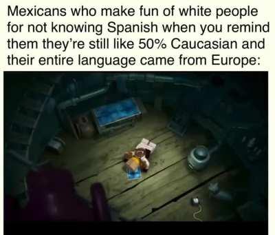 The Mexicans of this SubReddit: