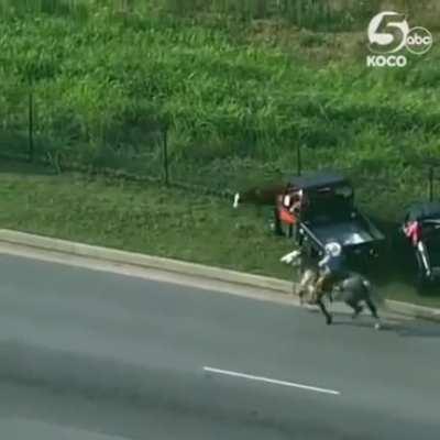 Cowboys doing cowboy things 🤠